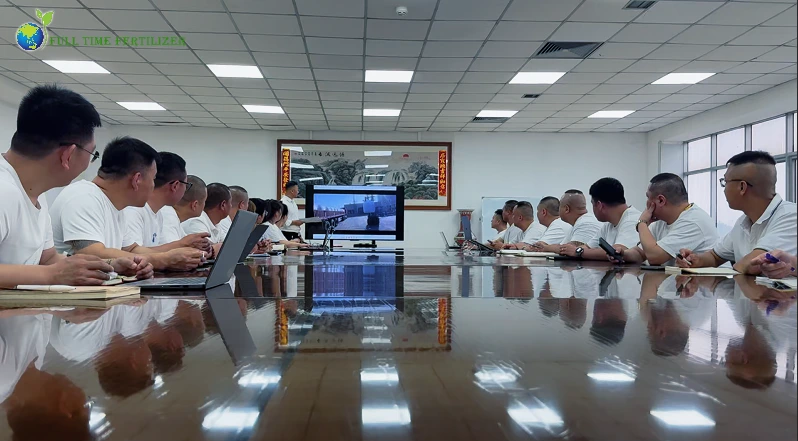 ft fert 公司 (6)